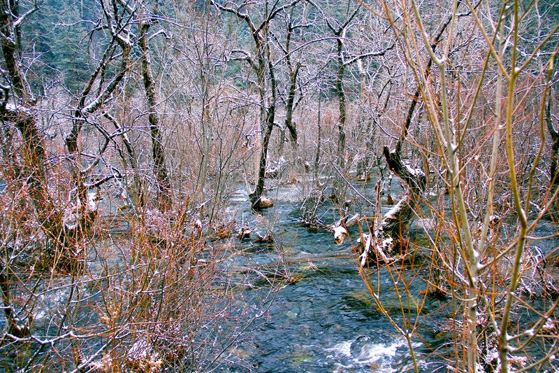 _mg_6856.jpg