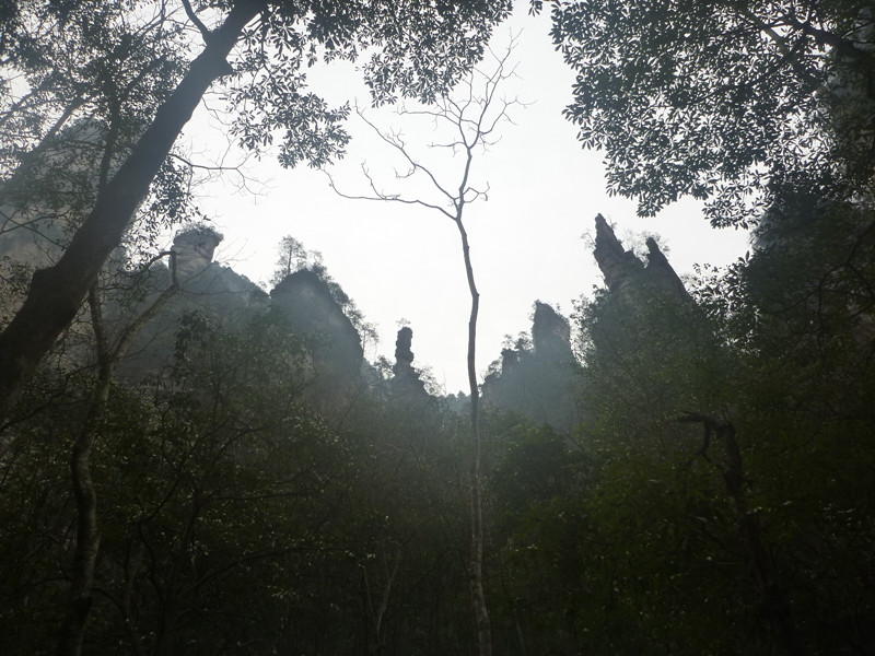 p1140319_.jpg