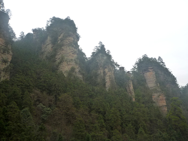 p1140301_.jpg