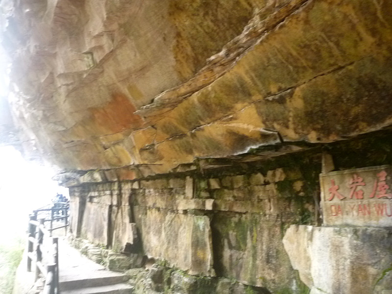 p1140303_.jpg