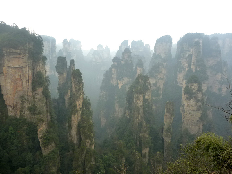 p1140339_.jpg