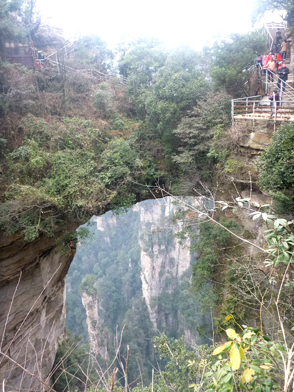 p1140367_.jpg