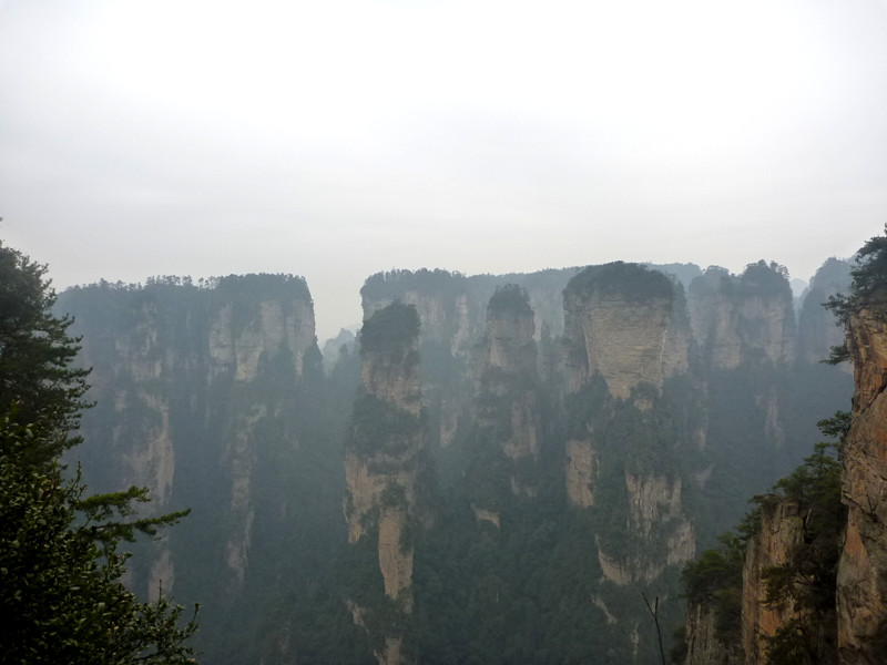 p1140359_.jpg