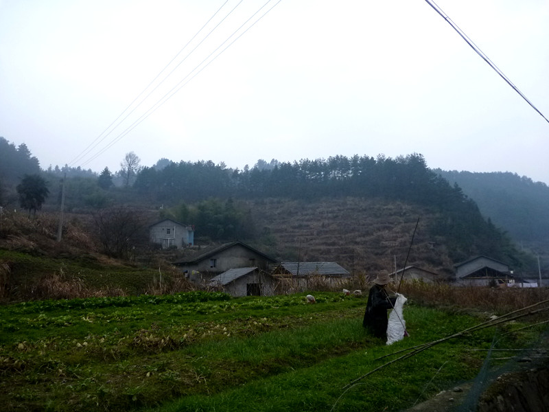 p1140378_.jpg
