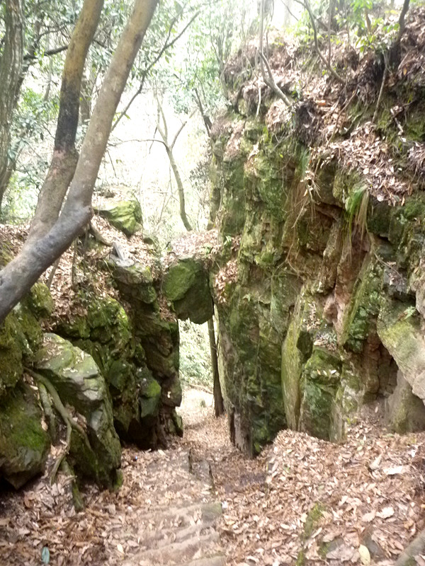p1140384_.jpg