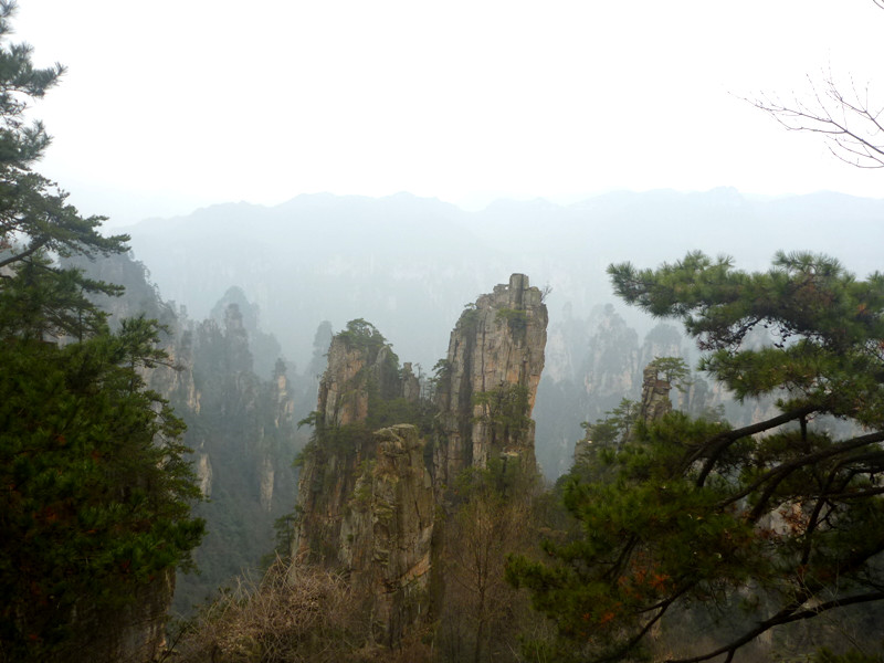 p1140393_.jpg