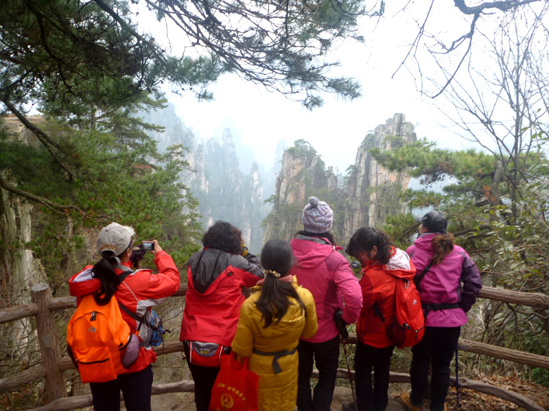 p1140394_.jpg