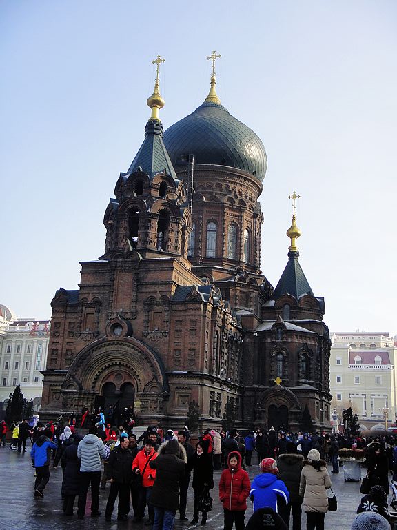 dsc08862.jpg