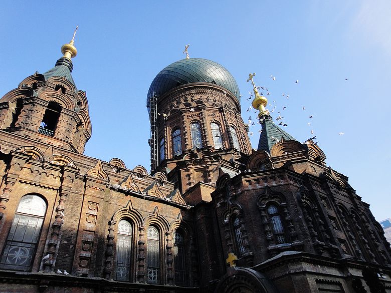 dsc08887.jpg