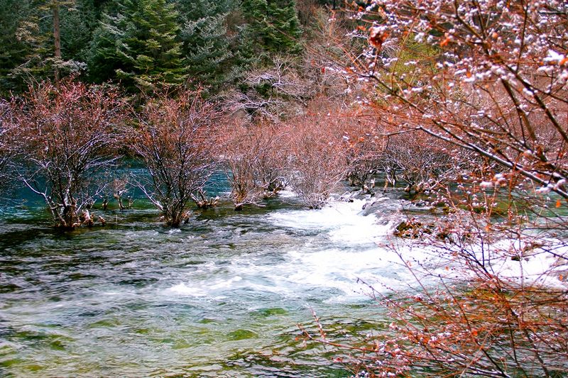 _mg_6902.jpg