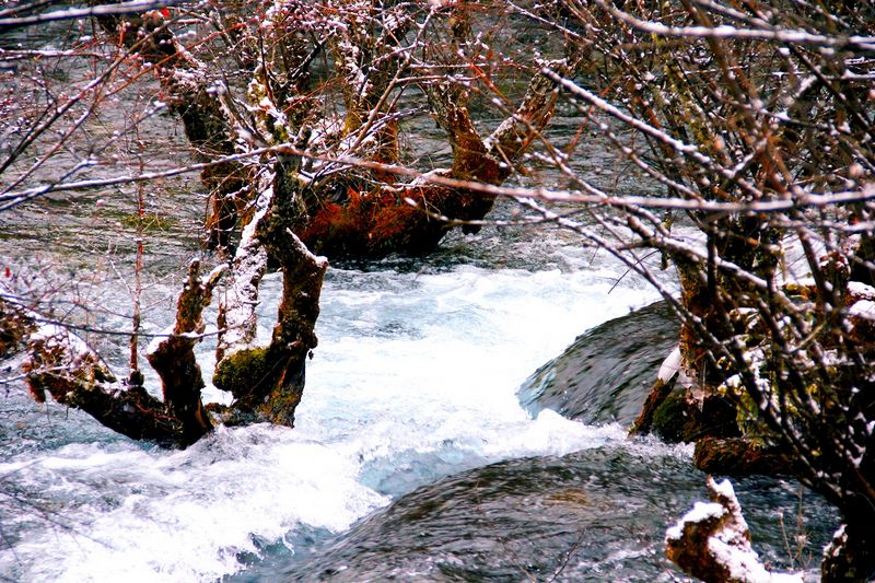 _mg_6931.jpg