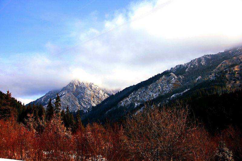 _mg_7087.jpg