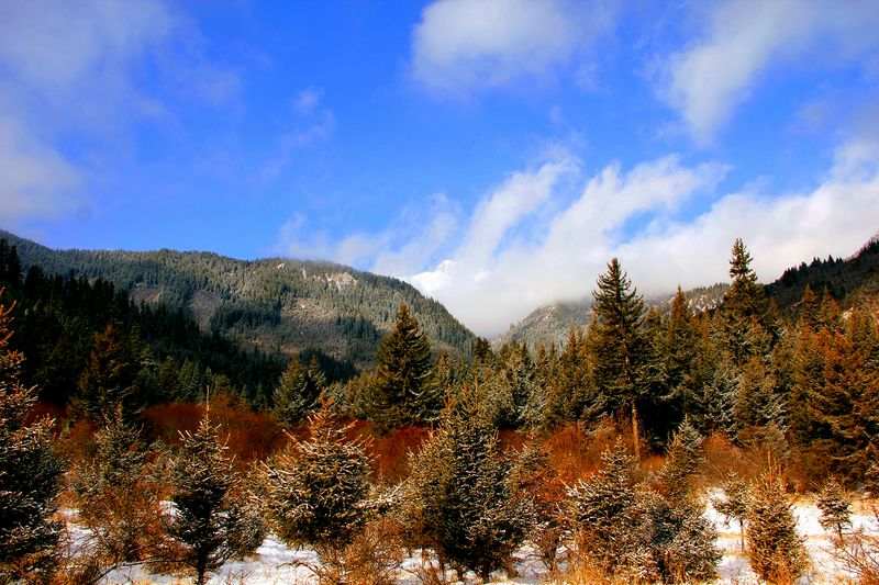_mg_7090.jpg