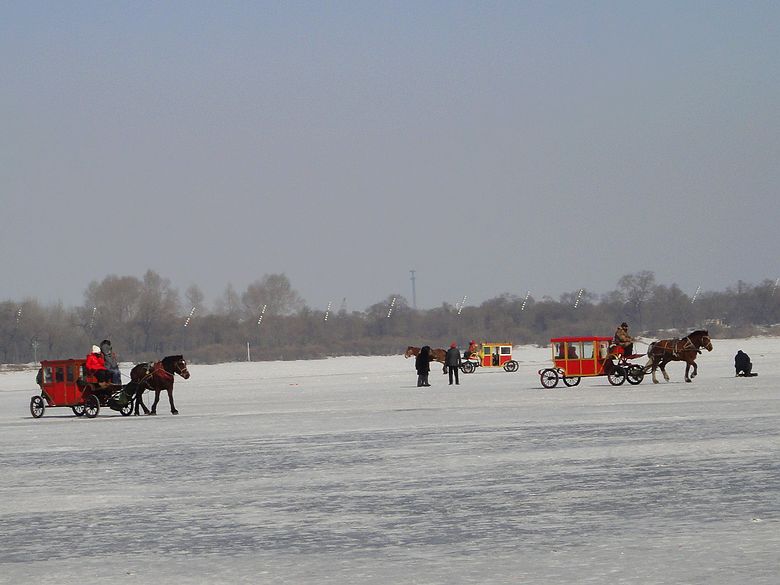 dsc08929.jpg