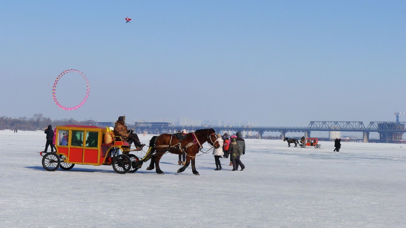 p1160782-1.jpg