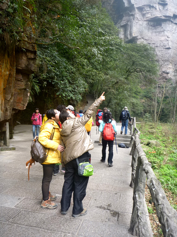 p1140326_.jpg