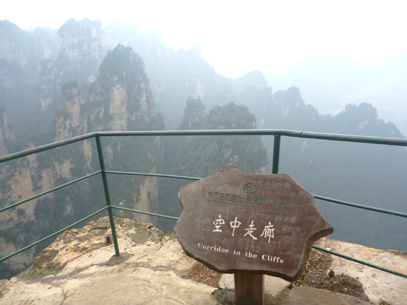 p1140433_.jpg