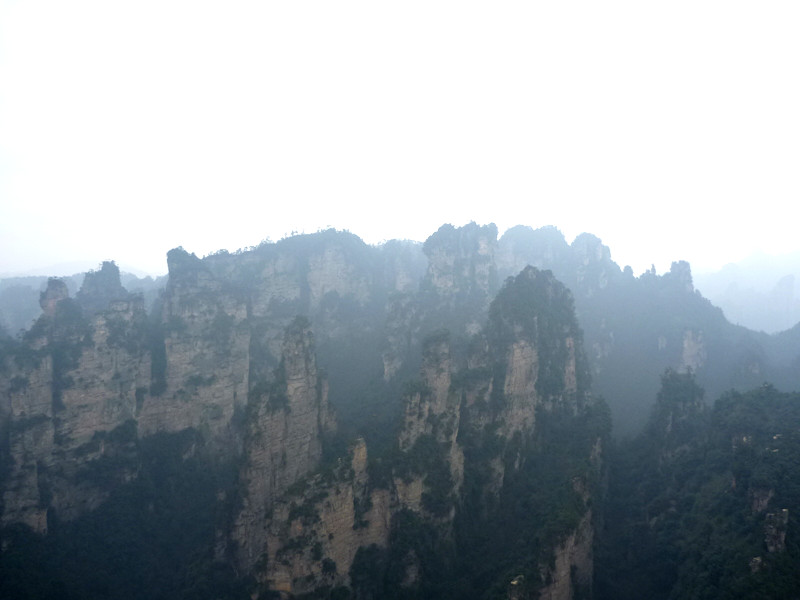 p1140447_.jpg