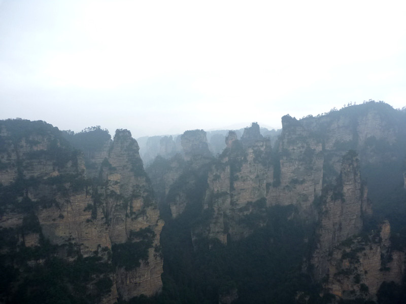 p1140448_.jpg