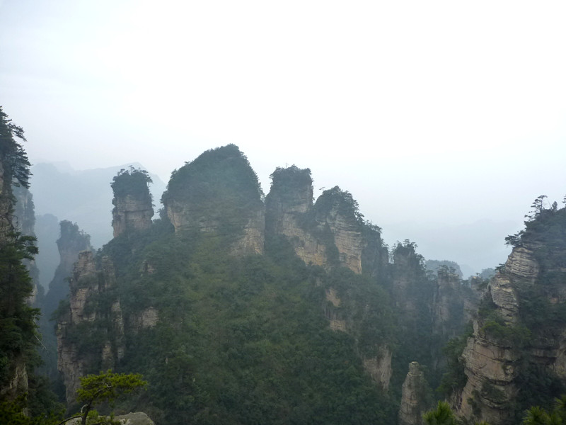 p1140453_.jpg