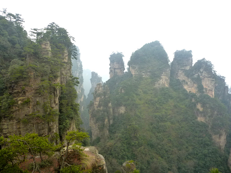p1140454_.jpg