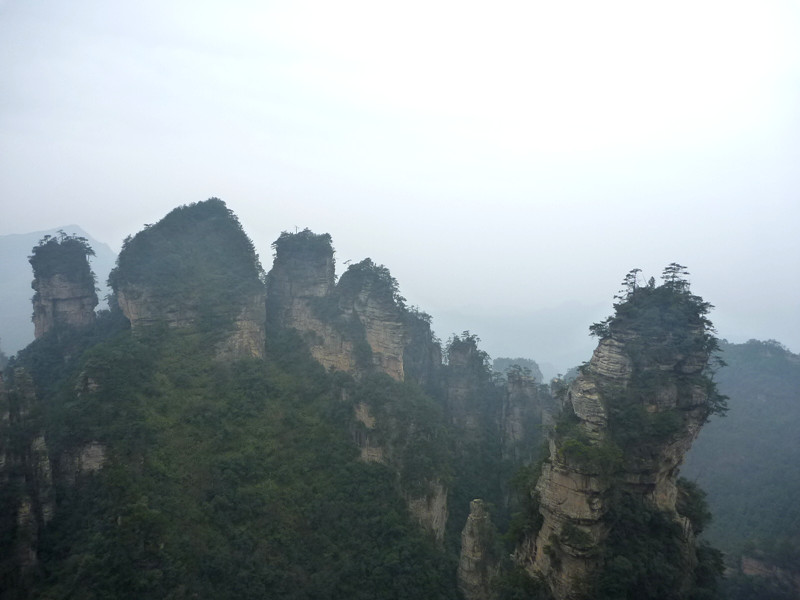 p1140455_.jpg
