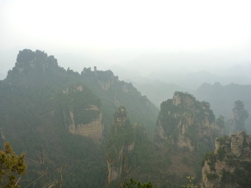 p1140465_.jpg