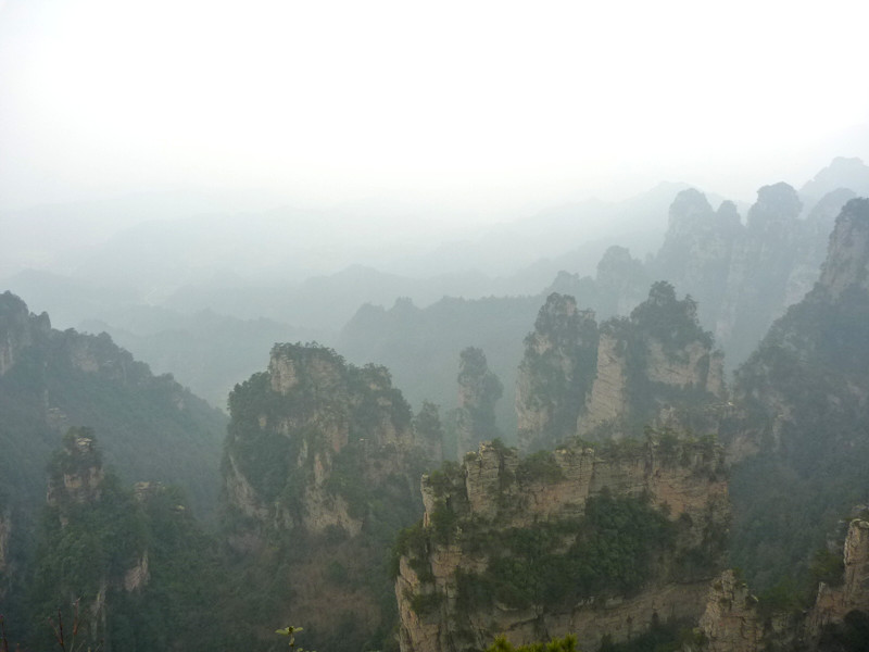 p1140466_.jpg