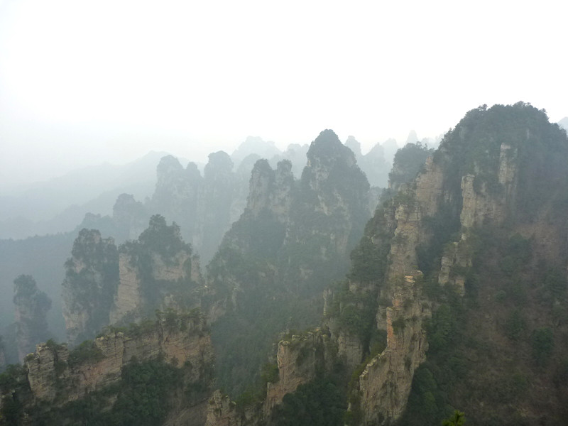 p1140464_.jpg