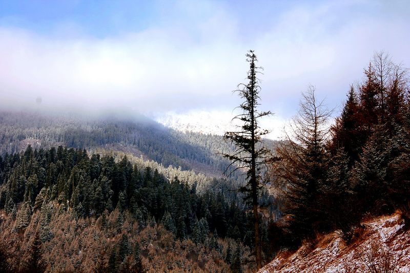_mg_7122.jpg