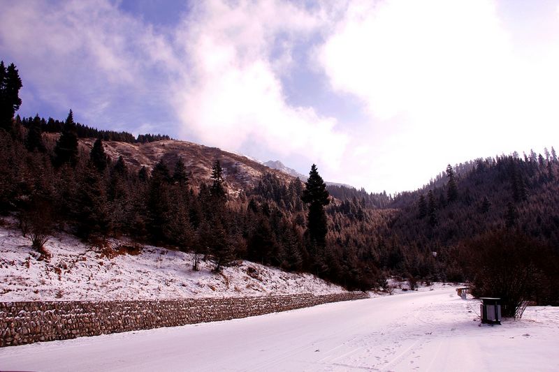 _mg_7141.jpg