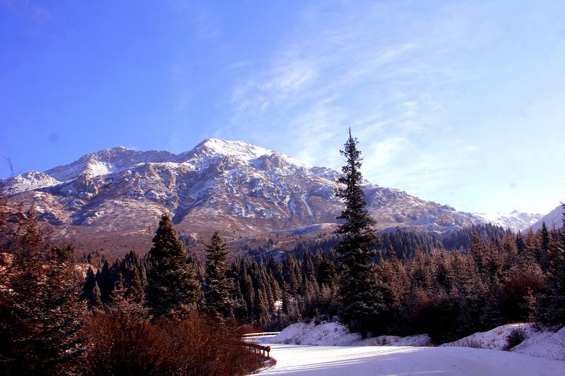 _mg_7147.jpg