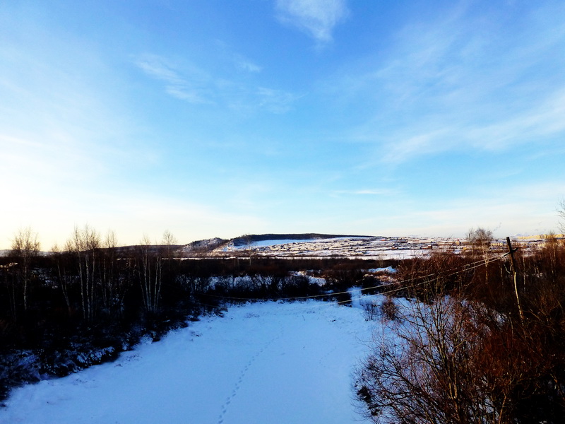 p1010784.jpg