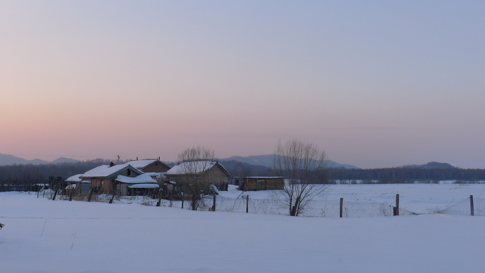 p1160975-1.jpg