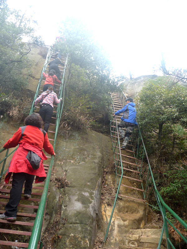 p1140420_.jpg