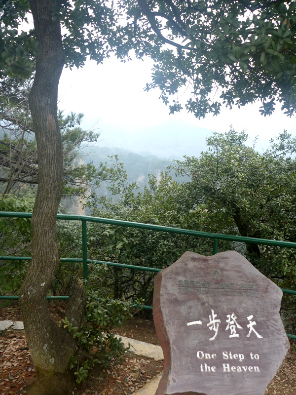 p1140425_.jpg