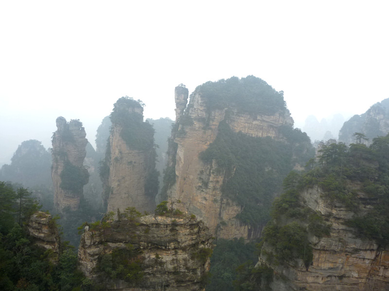 p1140423_.jpg