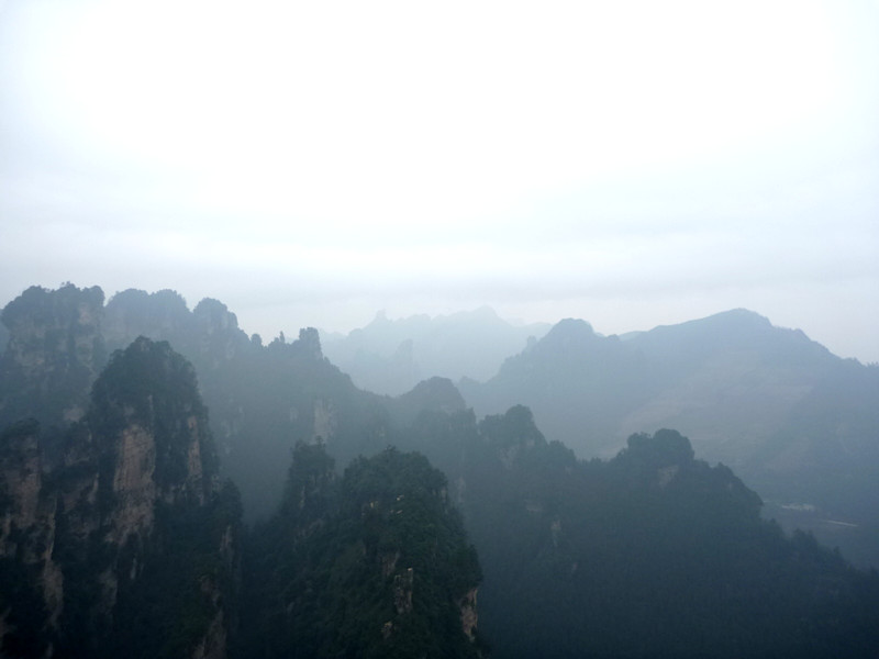 p1140434_.jpg