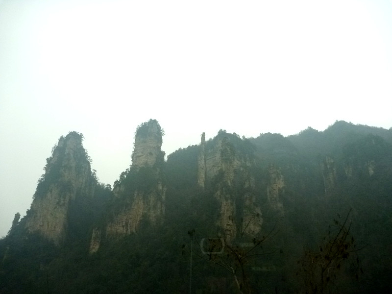 p1140482_.jpg
