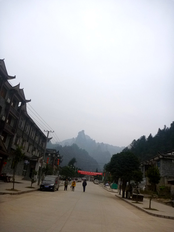 p1140489_.jpg