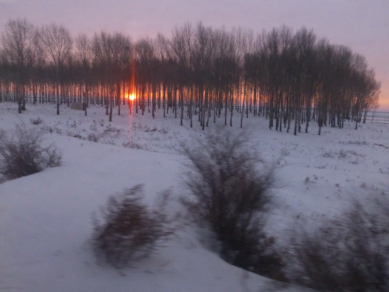 p1010830.jpg