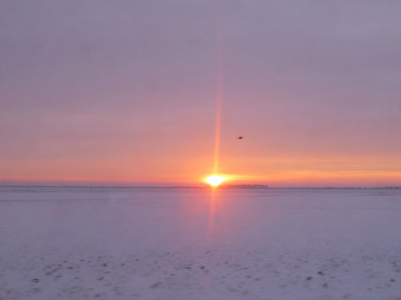 p1010835.jpg