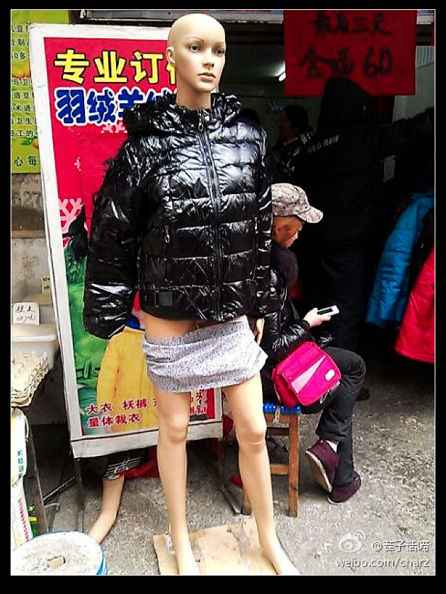 茬的原创.jpg
