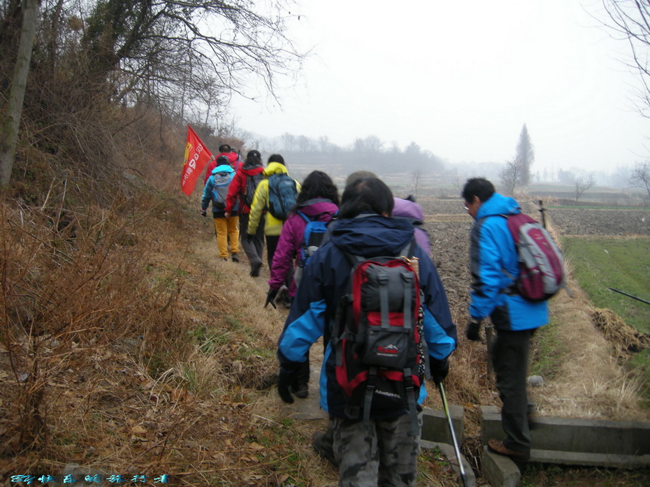 dscn7135.jpg