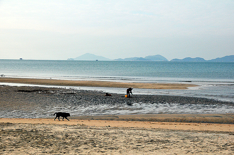 dsc_9018_.jpg