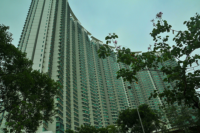 dsc_9026_.jpg