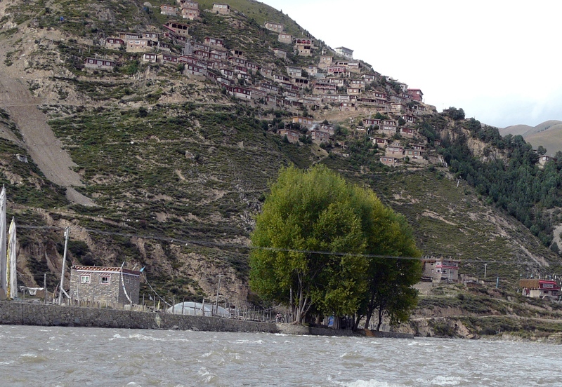 161.jpg
