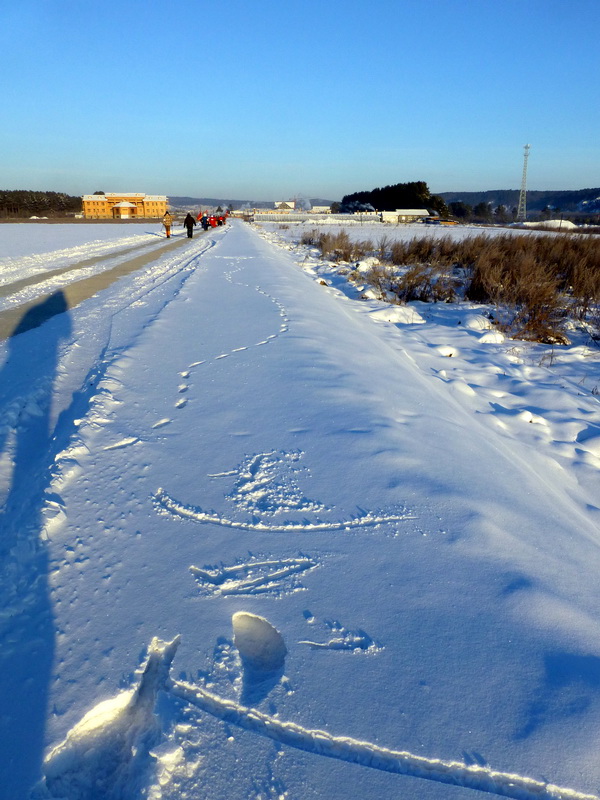 p1010397.jpg