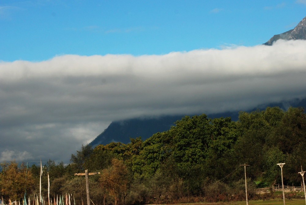 dsc_0118.jpg