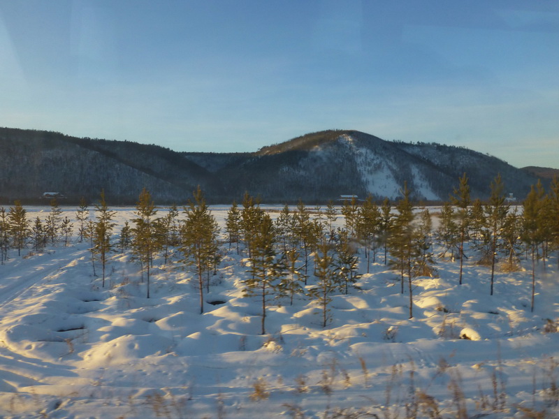 p1010579.jpg